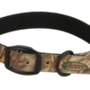 Camping & Hunting AVERY SPORTING DOG Standard Collar