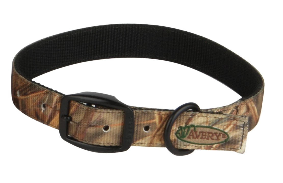 Camping & Hunting AVERY SPORTING DOG Standard Collar 1 Camping & Hunting AVERY SPORTING DOG Standard Collar