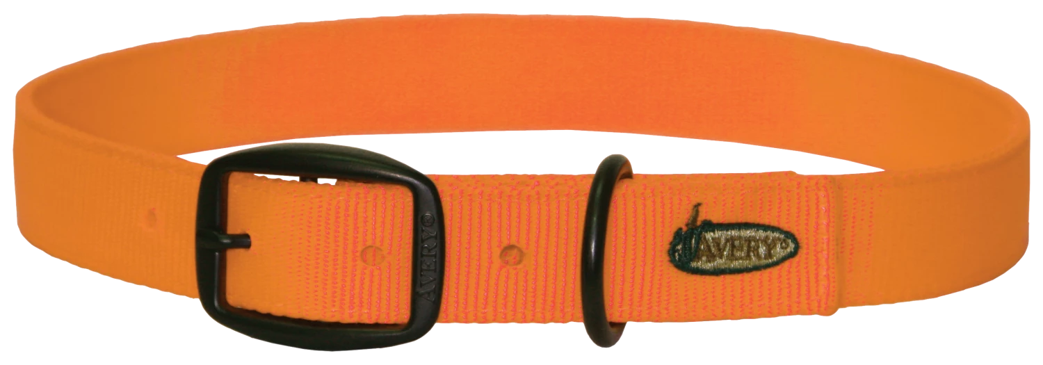 Camping & Hunting AVERY SPORTING DOG Standard Collar 2 Camping & Hunting AVERY SPORTING DOG Standard Collar