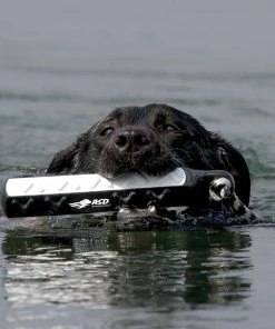 AVERY SPORTING DOG 2