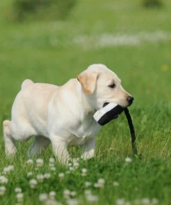 AVERY SPORTING DOG 2" Canvas Bumper Camping & Hunting 7 AVERY SPORTING DOG 2