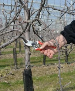 FELCO 2 Pruning Shear 5 FELCO 2 Pruning Shear