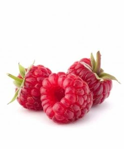 Augason Farms Freeze Dried Whole Raspberries Food & Food Storage 15 Augason Farms Freeze Dried Whole Raspberries Food & Food Storage