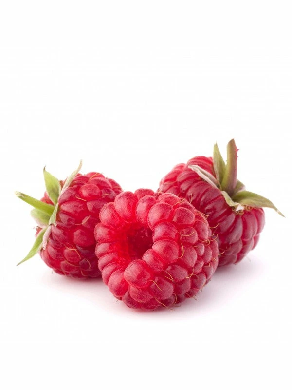 Augason Farms Freeze Dried Whole Raspberries Food & Food Storage 7 Augason Farms Freeze Dried Whole Raspberries Food & Food Storage