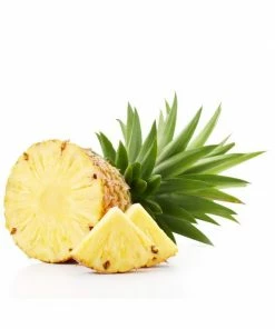 Augason Farms Freeze Dried Pineapple Chunks Food & Food Storage