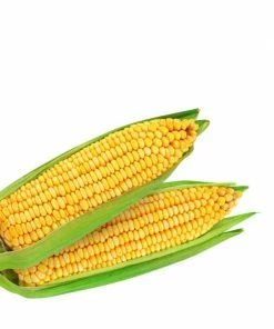 Augason Farms Freeze Dried Sweet Corn