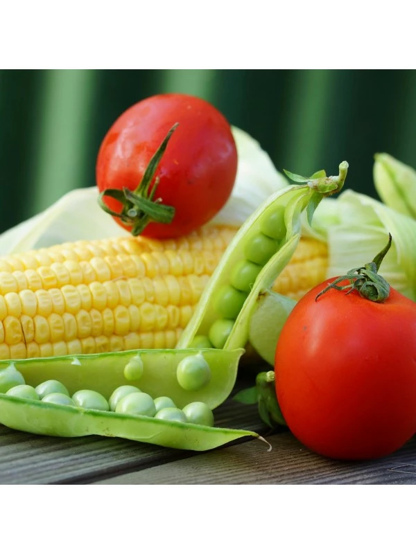 Augason Farms Vegetable Garden Seeds 4 Augason Farms Vegetable Garden Seeds