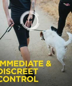 DOGTRA 1900S HANDSFREE PLUS TRAINING SYSTEM Dogs