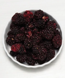 Augason Farms Freeze Dried Blackberries 16 Augason Farms Freeze Dried Blackberries