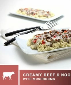 AlpineAire Creamy Beef & Noodles With Mushrooms Backpacking Meals