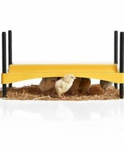 Brinsea EcoGlow Safety 1200 Chick Brooder Home, Farm & Garden