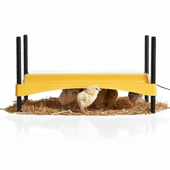 Brinsea EcoGlow Safety 1200 Chick Brooder Home, Farm & Garden 1 Brinsea EcoGlow Safety 1200 Chick Brooder Home, Farm & Garden