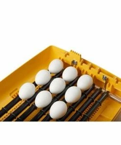 Brinsea Ovation 28 Zoologica Exotic Egg Incubator Home, Farm & Garden