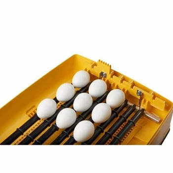 Brinsea Ovation 28 Zoologica Exotic Egg Incubator Home, Farm & Garden 2 Brinsea Ovation 28 Zoologica Exotic Egg Incubator Home, Farm & Garden