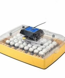 Brinsea Ovation 56 Zoologica Exotic Egg Incubator