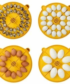 Brinsea Maxi 24 Advance Fully Digital 24 Egg Incubator