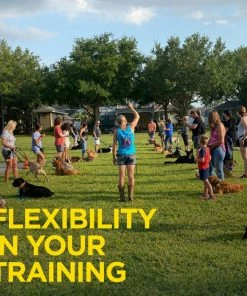 DOGTRA 1900S HANDSFREE PLUS TRAINING SYSTEM Dogs