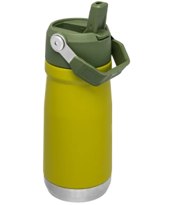 STANLEY THE ICEFLOW FLIP STRAW WATER BOTTLE 17 Oz. 15 STANLEY THE ICEFLOW FLIP STRAW WATER BOTTLE 17 Oz.