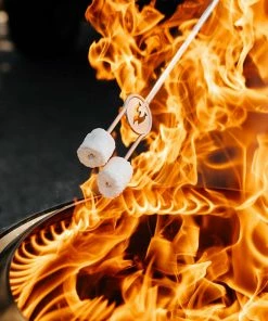 Gear Solo Stove Bonfire + Stand