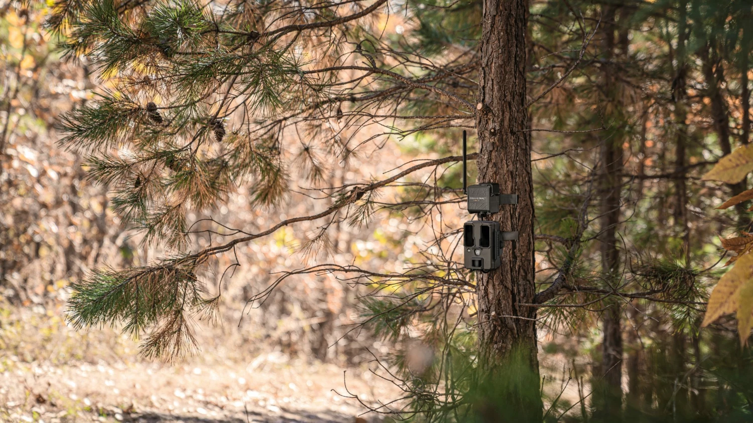 Trail Camera SPYPOINT CELL-LINK UNIVERSAL CELLULAR ADAPTER 16 Trail Camera SPYPOINT CELL-LINK UNIVERSAL CELLULAR ADAPTER