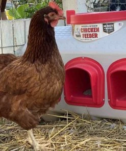 OverEZ Chicken Coops OverEZ Chicken Feeder 11 OverEZ Chicken Coops OverEZ Chicken Feeder