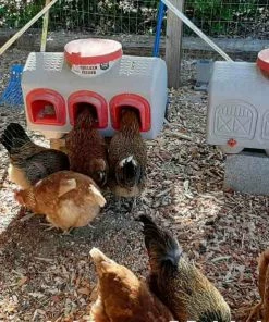 OverEZ Chicken Coops OverEZ Chicken Waterer Home, Farm & Garden