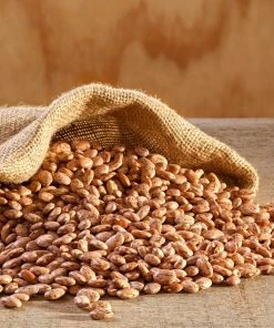Augason Farms Pinto Beans, 4 Gallon Pail