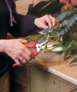 FELCO 310 Fruit Harvesting Pruning Shear Home, Farm & Garden