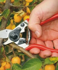 FELCO 6 Ergonomic Pruning Shear