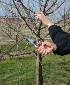 FELCO 8 Ergonomic Pruning Shear Home, Farm & Garden 7 FELCO 8 Ergonomic Pruning Shear Home, Farm & Garden