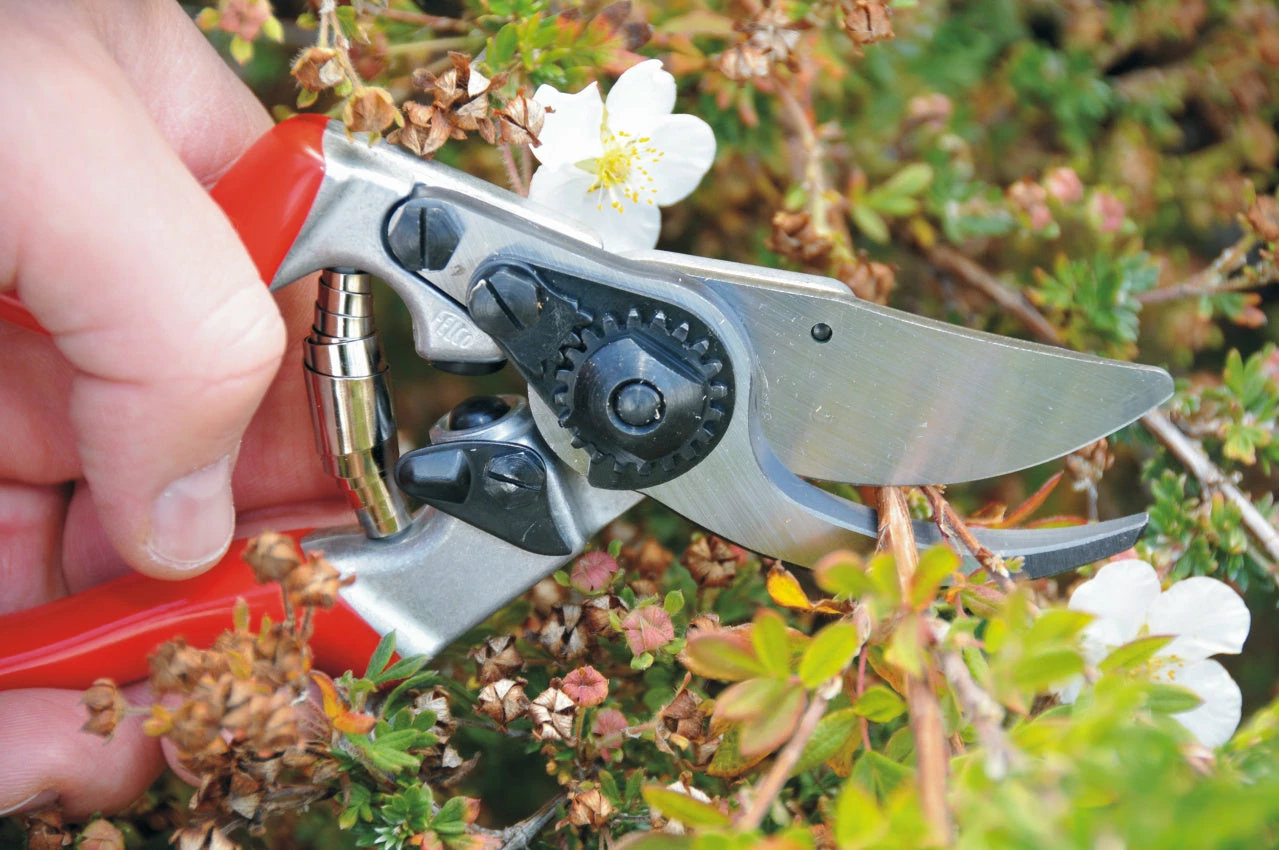 Home, Farm & Garden FELCO 9 Left-Handed Ergonomic Pruning Shear 3 Home, Farm & Garden FELCO 9 Left-Handed Ergonomic Pruning Shear
