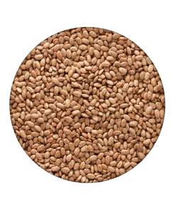 Emergency Essentials Pinto Beans Large Can 7 Emergency Essentials Pinto Beans Large Can