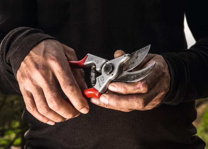 FELCO 4 Pruning Shear 2 FELCO 4 Pruning Shear