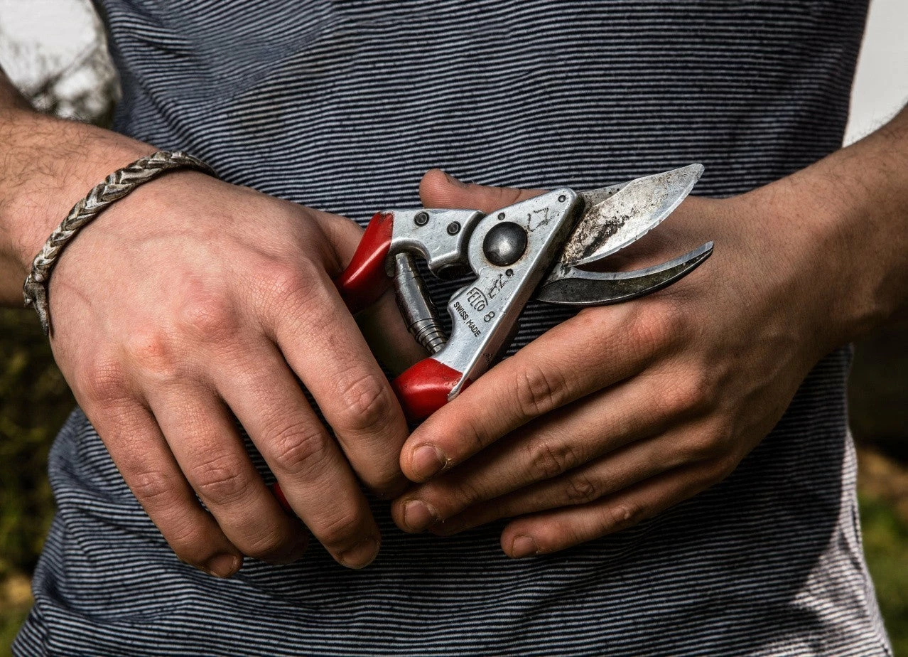 FELCO 8 Ergonomic Pruning Shear Home, Farm & Garden 5 FELCO 8 Ergonomic Pruning Shear Home, Farm & Garden