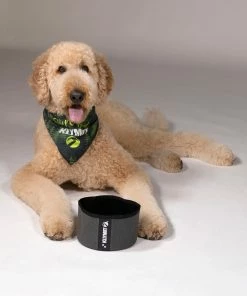 Klymit Travel Dog Bowl Dogs