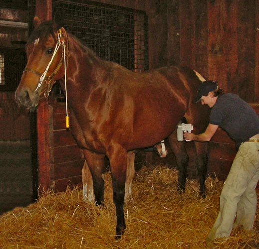 Home, Farm & Garden EZ - UDDERLY EZ HAND MARE MILKERS 3 Home, Farm & Garden EZ - UDDERLY EZ HAND MARE MILKERS