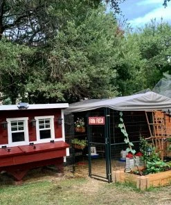 OverEZ Chicken Coops OverEZ Extra Large Chicken Coop