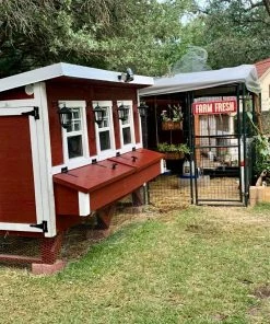 OverEZ Chicken Coops OverEZ Extra Large Chicken Coop