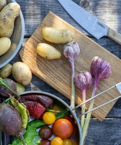 Gear Primus Campfire Cutting Set