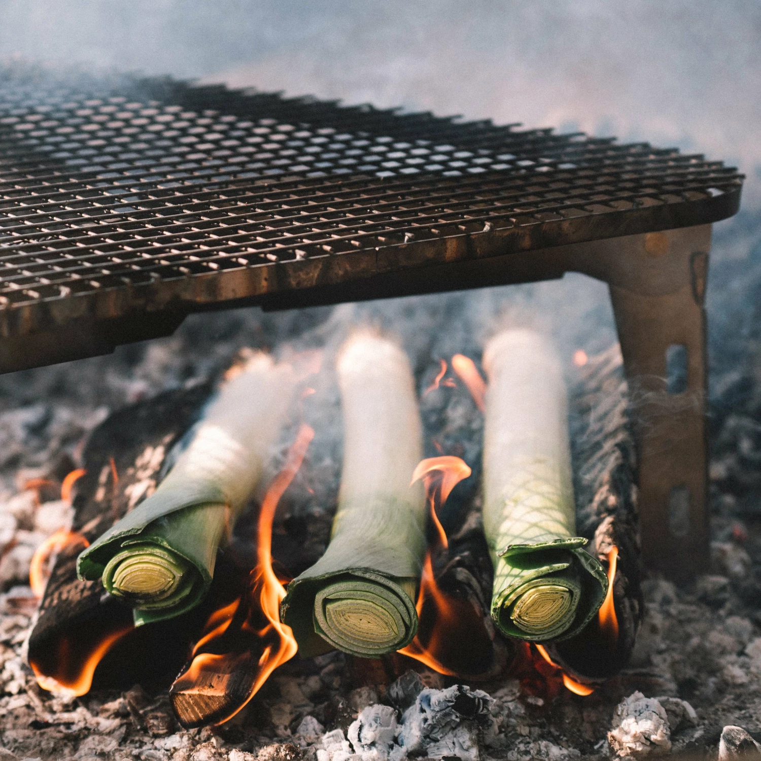 Primus Aeril Fire Rack 28 Primus Aeril Fire Rack