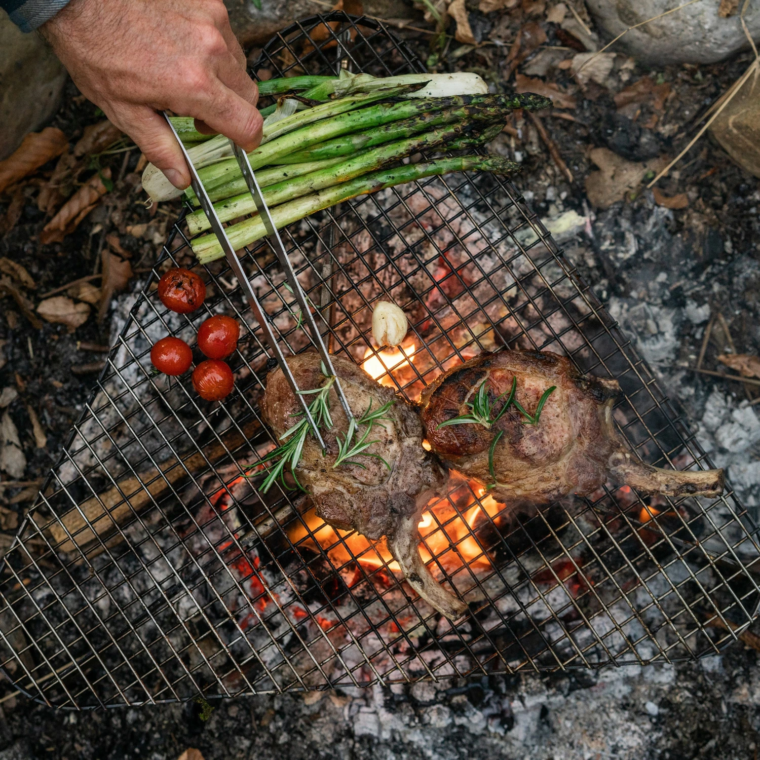 Primus Aeril Fire Rack 26 Primus Aeril Fire Rack