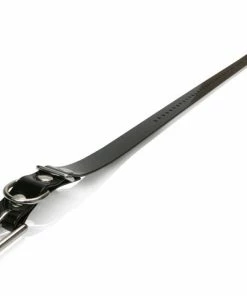 Dogs DOGTRA COLLAR STRAP 3/4"X24" BLACK