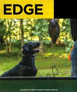 DOGTRA EDGE TRAINING SYSTEM