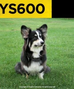 Dogs DOGTRA YS600 NO BARK COLLAR