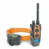 DOGTRA 2700T&B TRAINING AND BEEPER SYSTEM