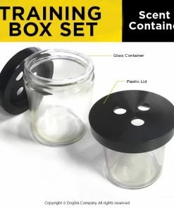 DOGTRA TRAINING BOX SET (3) Dogs