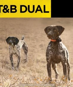 Dogs Dogtra T&B Dual 1-Dog Training And Beeper System 14 Dogs Dogtra T&B Dual 1-Dog Training And Beeper System