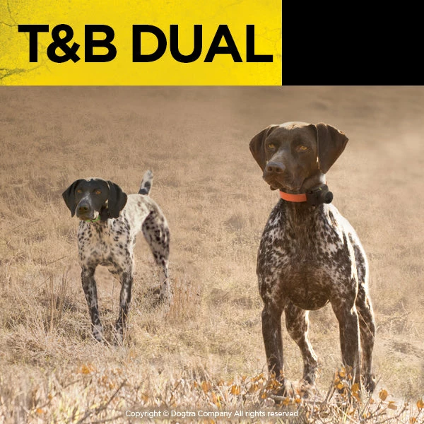 Dogs Dogtra T&B Dual 1-Dog Training And Beeper System 7 Dogs Dogtra T&B Dual 1-Dog Training And Beeper System