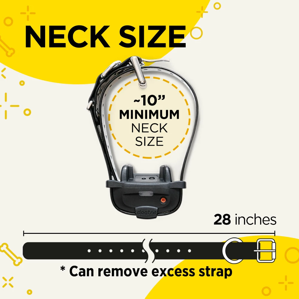 Dogs DOGTRA IQ MINI TRAINING SYSTEM 5 Dogs DOGTRA IQ MINI TRAINING SYSTEM