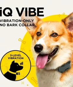 DOGTRA IQ VIBE NO BARK COLLAR Dogs